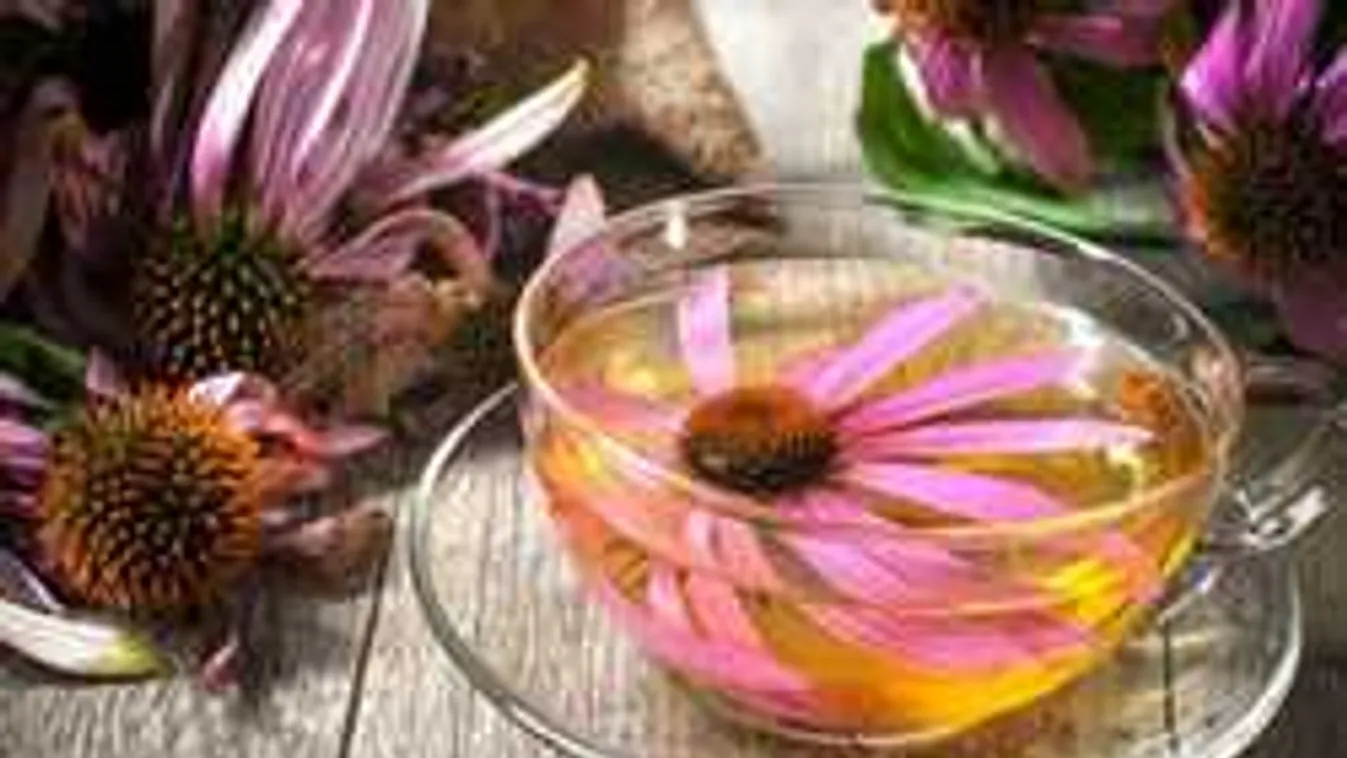 Folyton beteg a gyerek? Így erősítsd az immunrendszerét