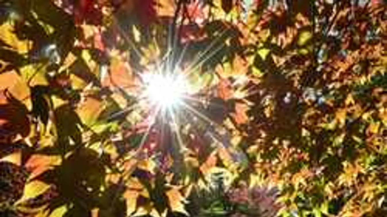 Ez fájni fog: így indítja az októbert az időjárás