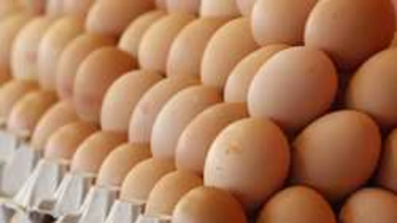 Durva drágulás: sosem találnád ki, mennyiért láttunk tojást a piacon