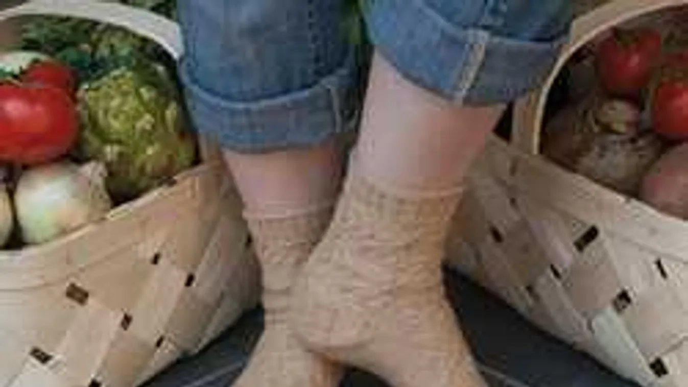 Ezért tegyél vöröshagymát a zoknidba