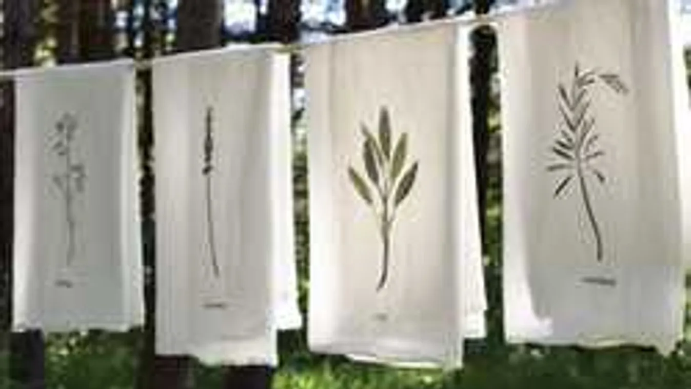 Ettől a trükktől lesz tökéletesen fehér minden konyharuhád