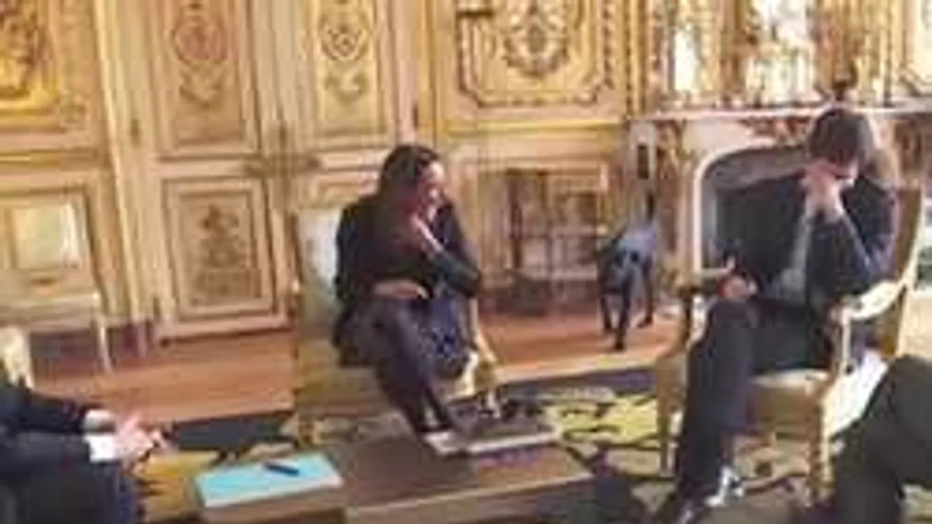 A first dog bevizelt az elnöki palotában