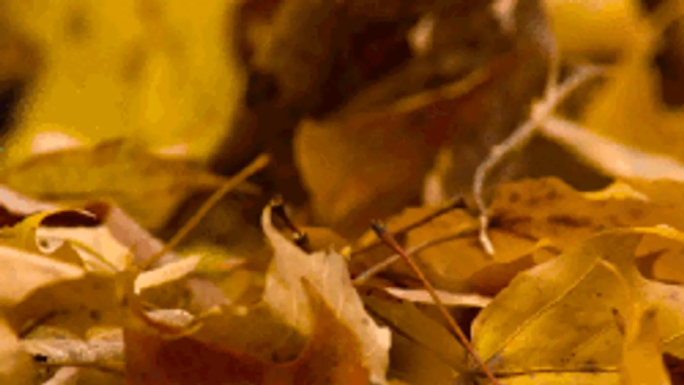 Meglepő időjárással indul a hét, a reggelekben nem lesz köszönet