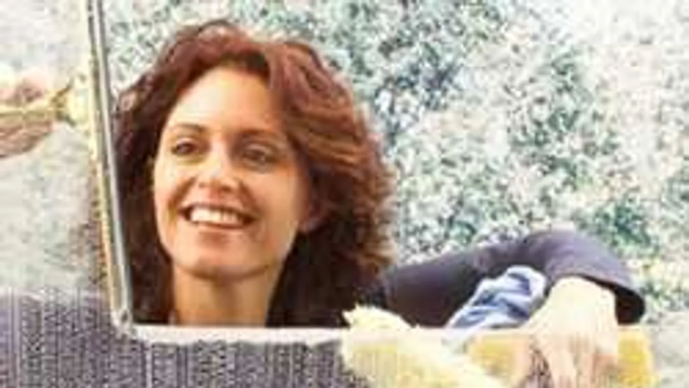 Így pucolj könnyedén ablakot, ha lakótelepen laksz!