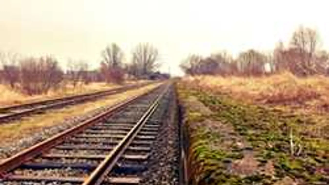 Tragédia a síneken: buszba rohant a vonat, rengeteg a halott