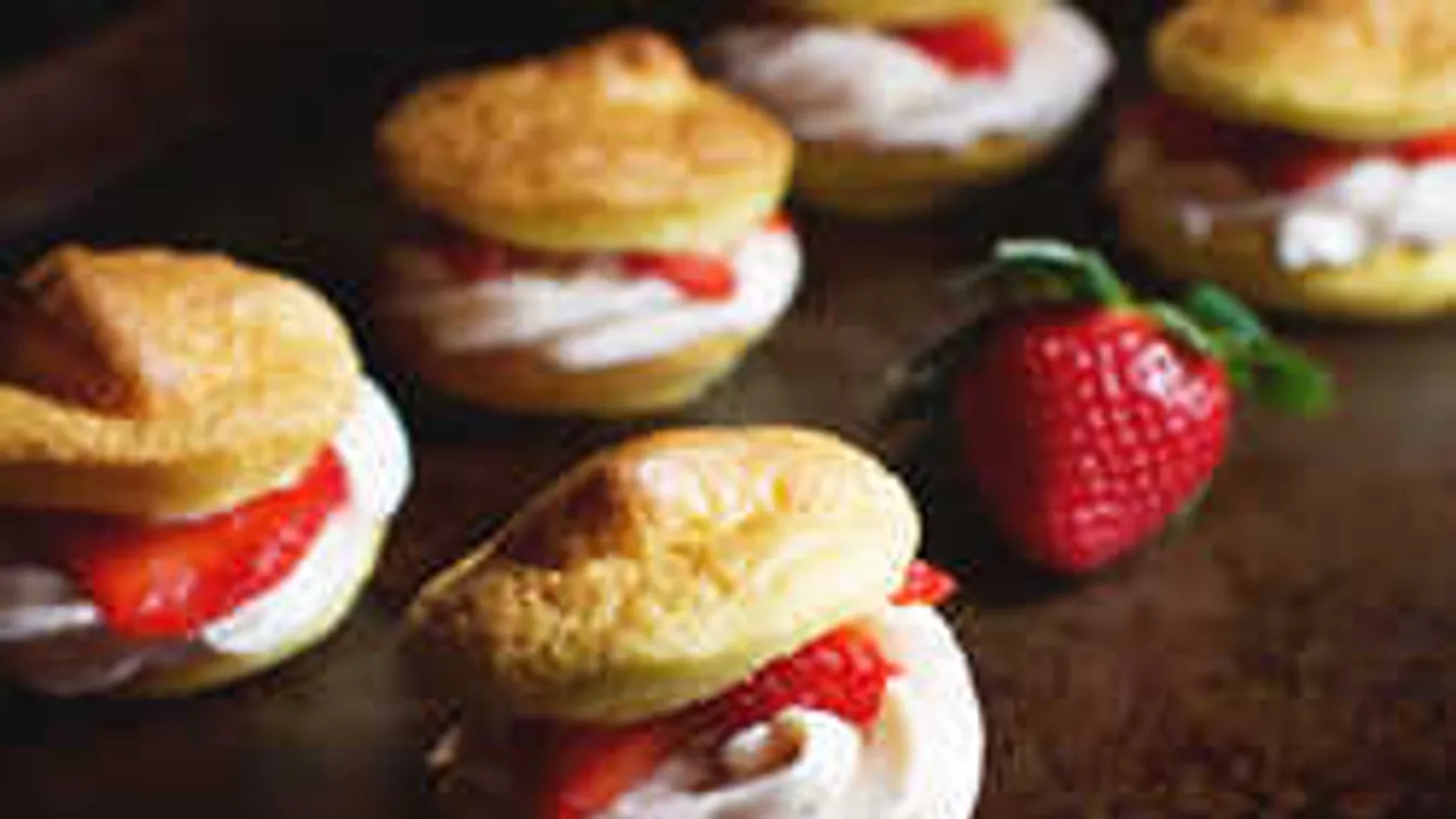 Mennyei falat: Tejszínhabos felhőfánk az új cukormentes csoda!