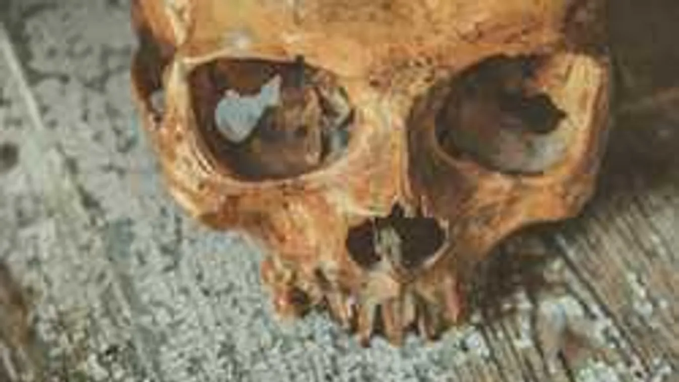 Ijesztő látvány Vecsésen: emberi maradványok kerültek elő