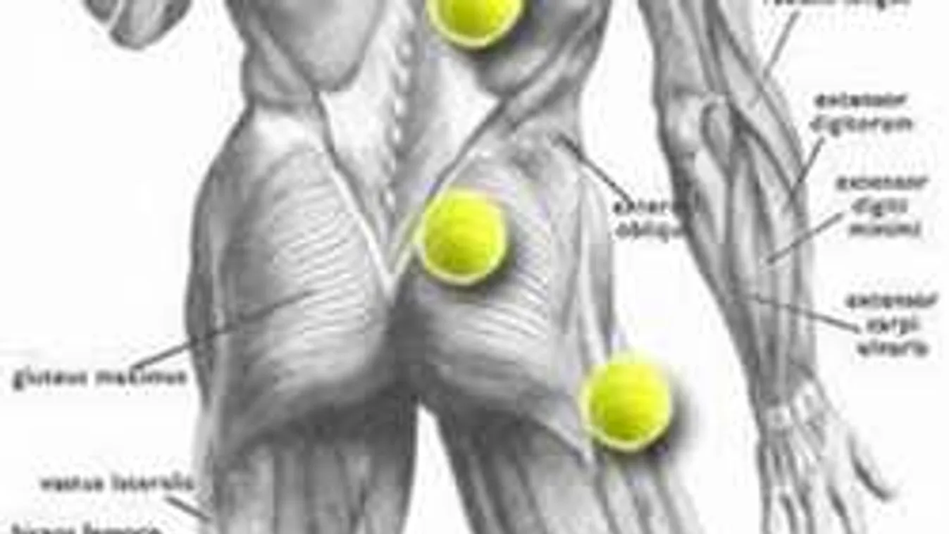 Fáj a hátad és a derekad? Egyetlen teniszlabda segít
