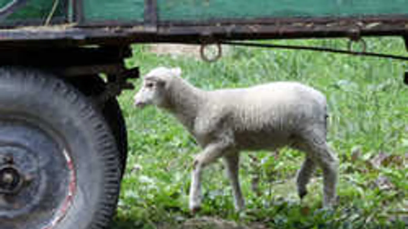 A városiak 95, a vidékiek 30 százaléka nem tudja, mi ez az eszköz