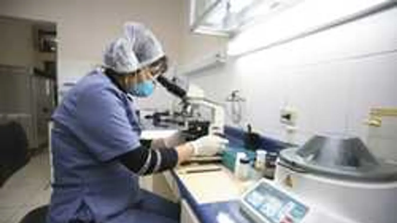 Durva vírus fenyegeti a magyar gyerekeket, egy hétig tart a betegség