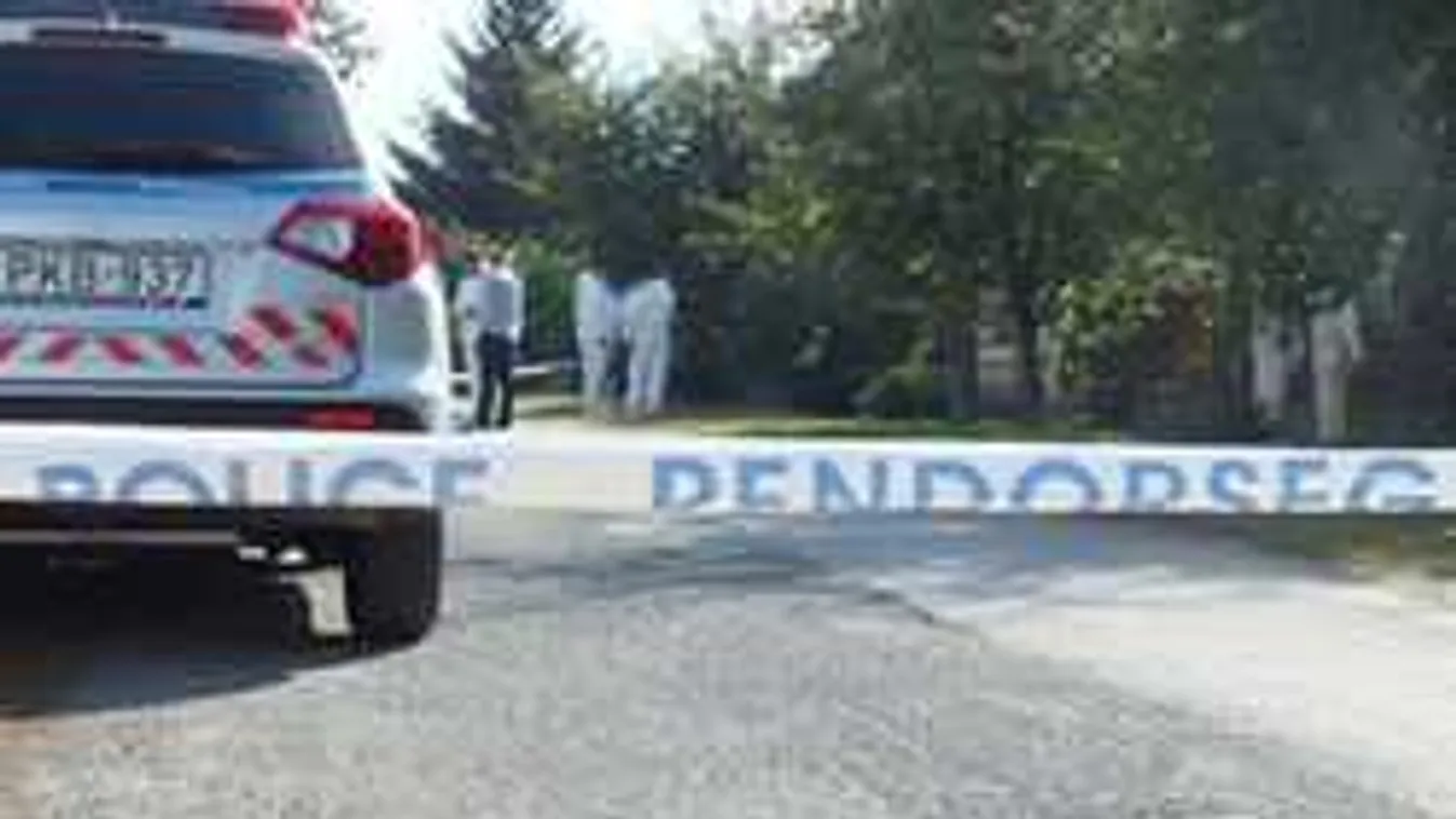 Elmondták a lakók: elképesztő, miért gyilkolták meg Bözsi nénit