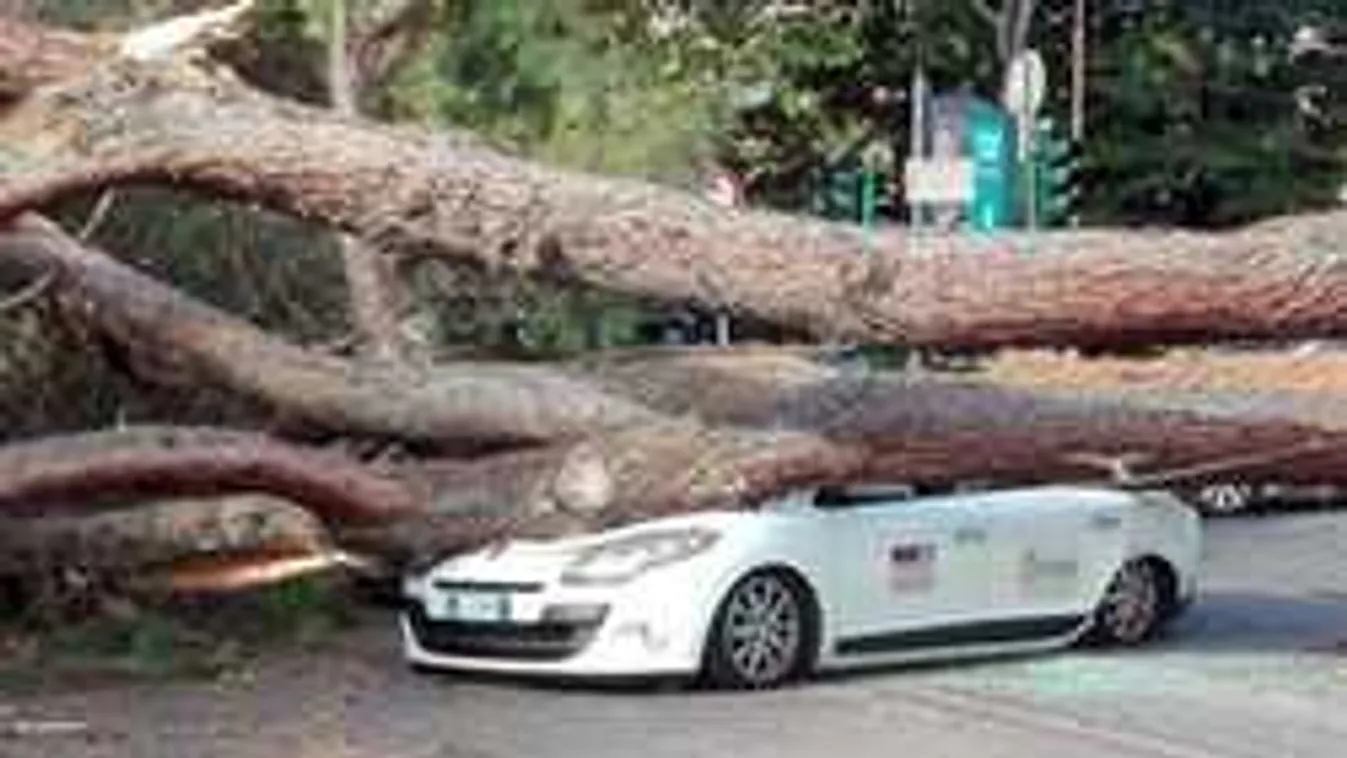 Óriási veszély, sorra dőlnek ki a fák a turisták kedvenc városában