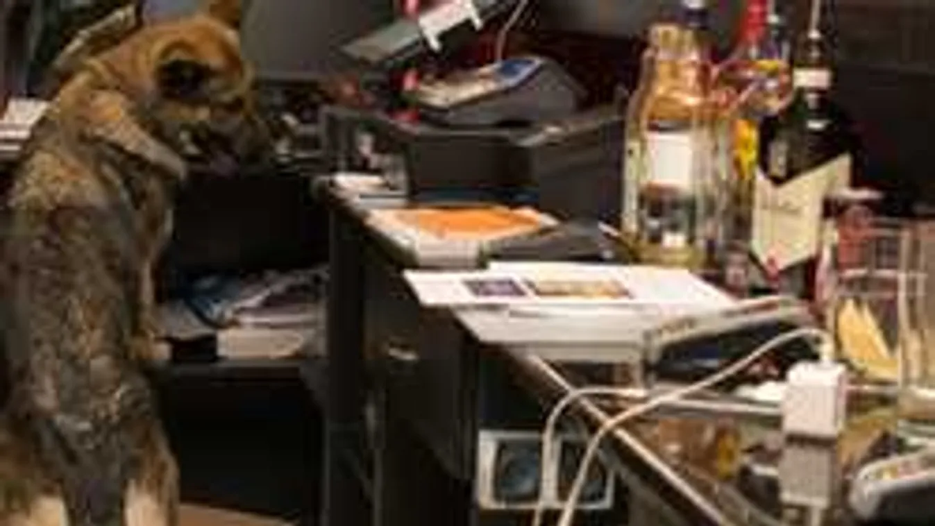 Újabb szórakozóhelyet zártak be, mert csúnyán átverték a vendégeket