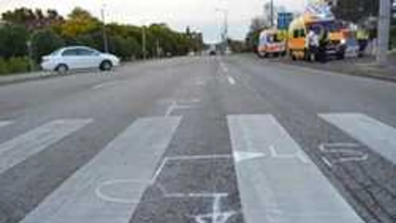 Zebrán gázolták el az ismert magyar sportolót, belehalt sérüléseibe