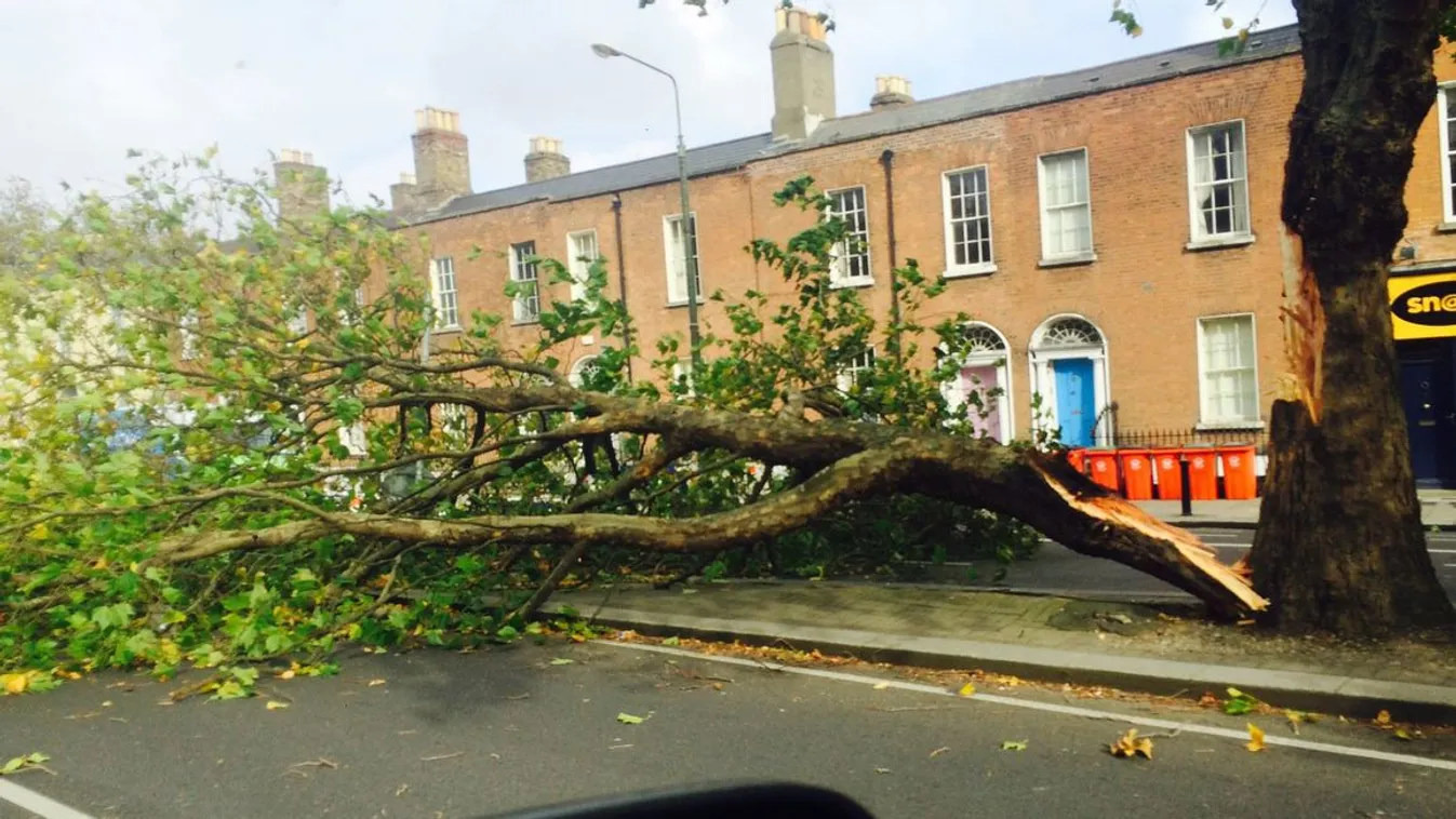 Félelmetes erő: letépte a stadion tetejét a szél, egy nő meghalt
