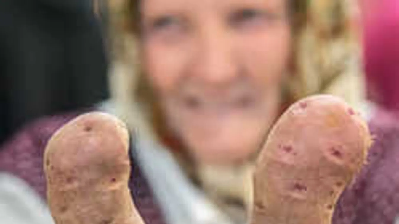 Sokkot kaptak a vevők, amikor meglátták, mi lapul a ládában