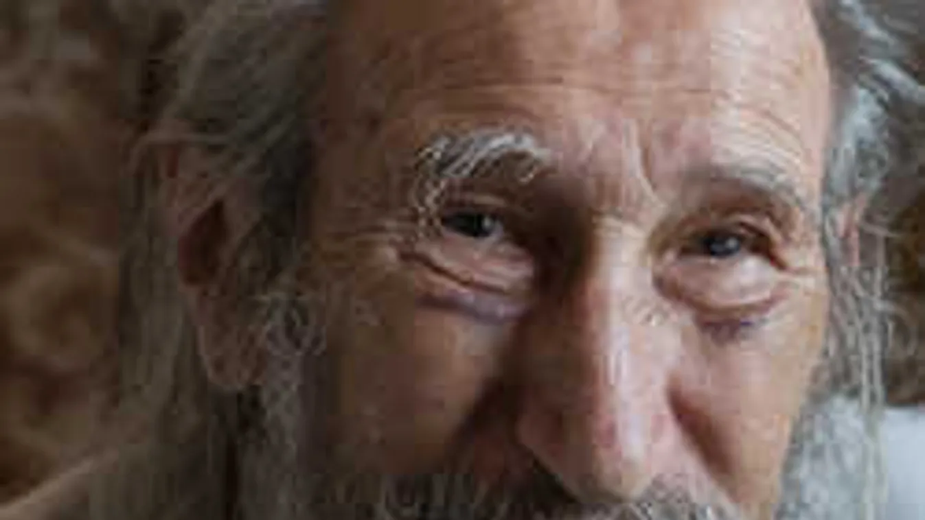 Összetörten érkezett a bíróságra a megvert magyar színész