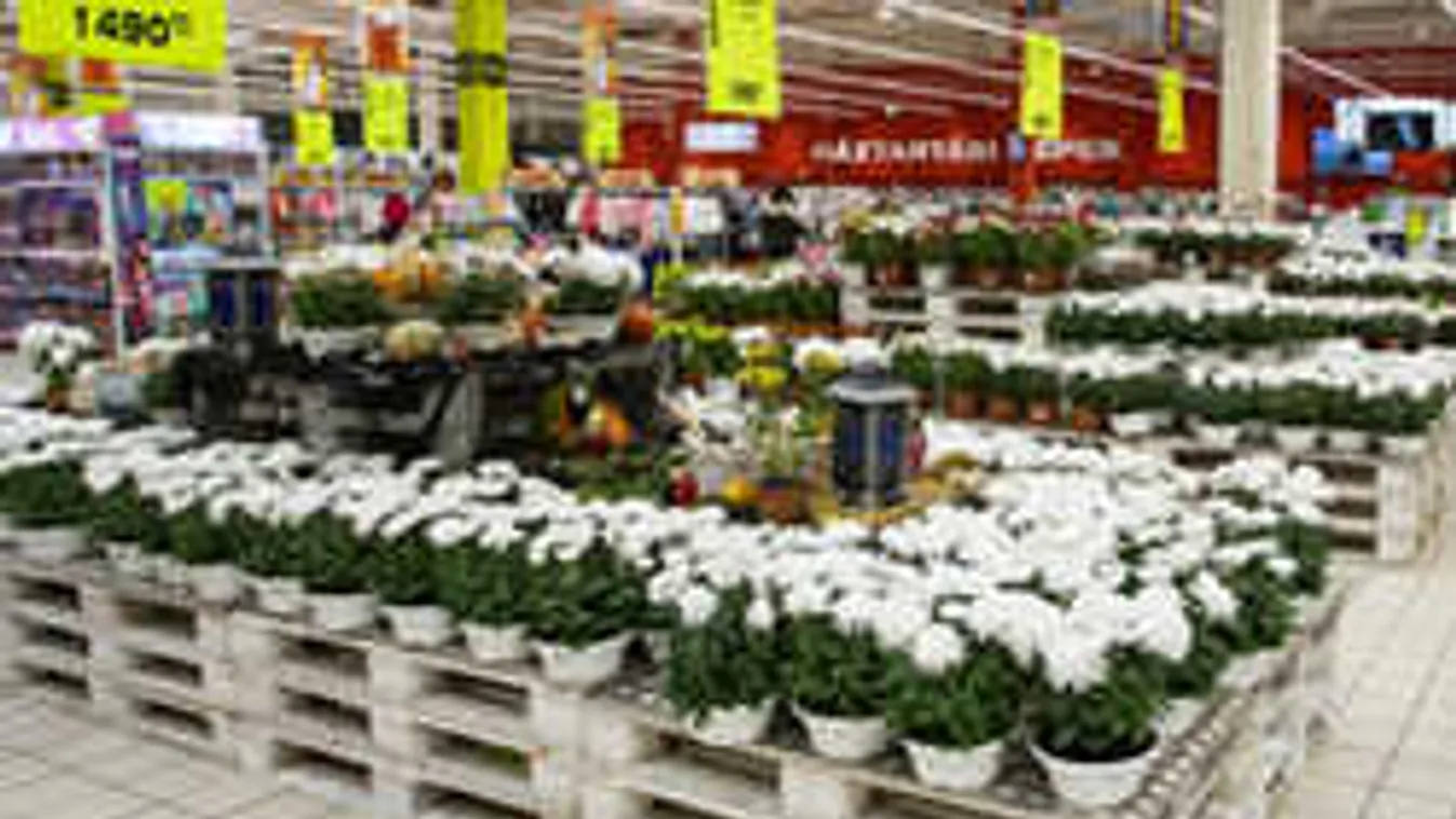 Ezért nem mindegy, hol vesszük a sírra a virágot