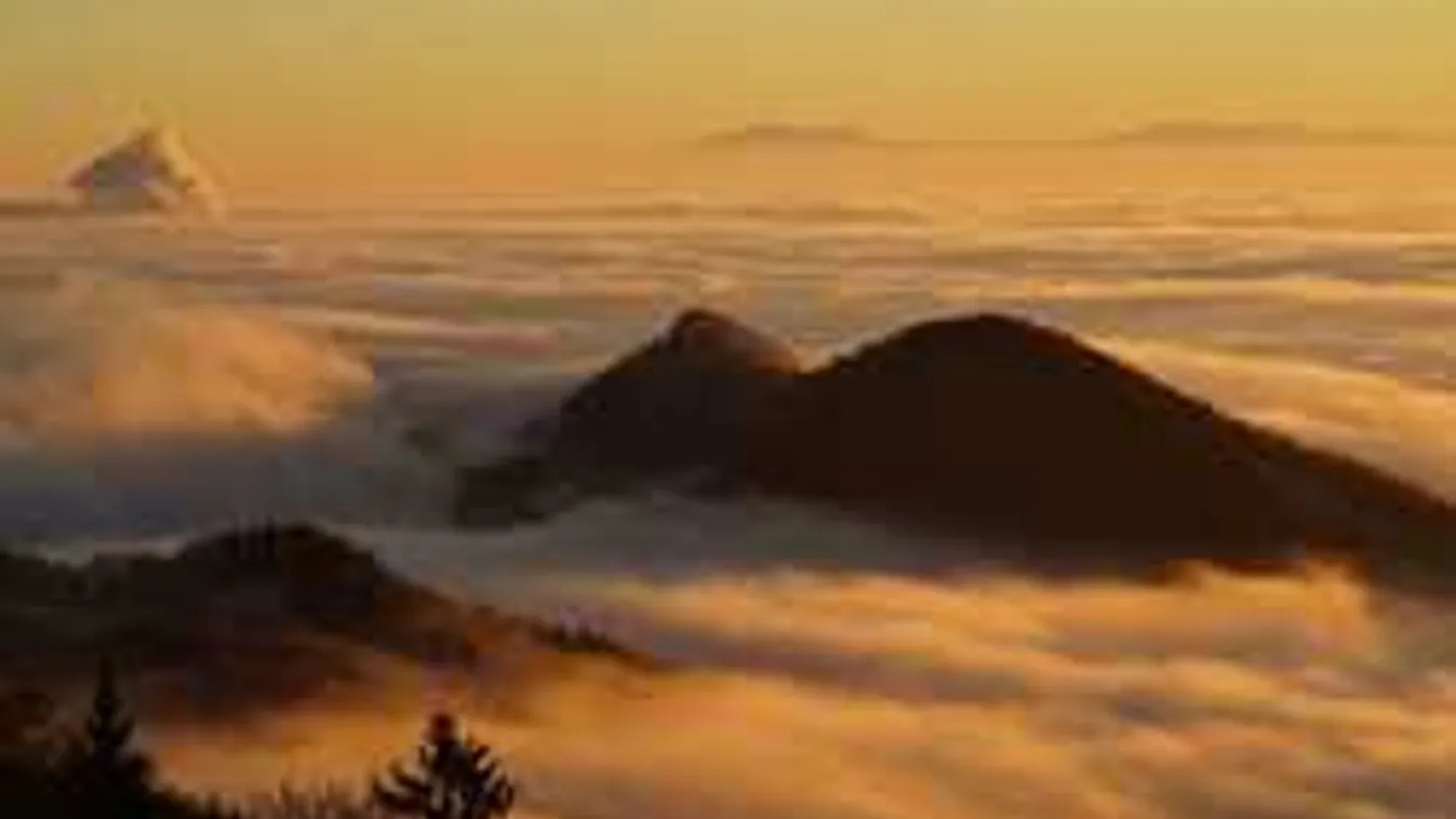 Oda a remény: holtan találták az eltűnt vadászt