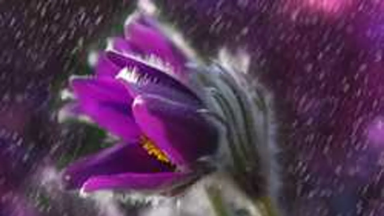 Viharos széllel jön a nagy eső, erre nem árt készülni