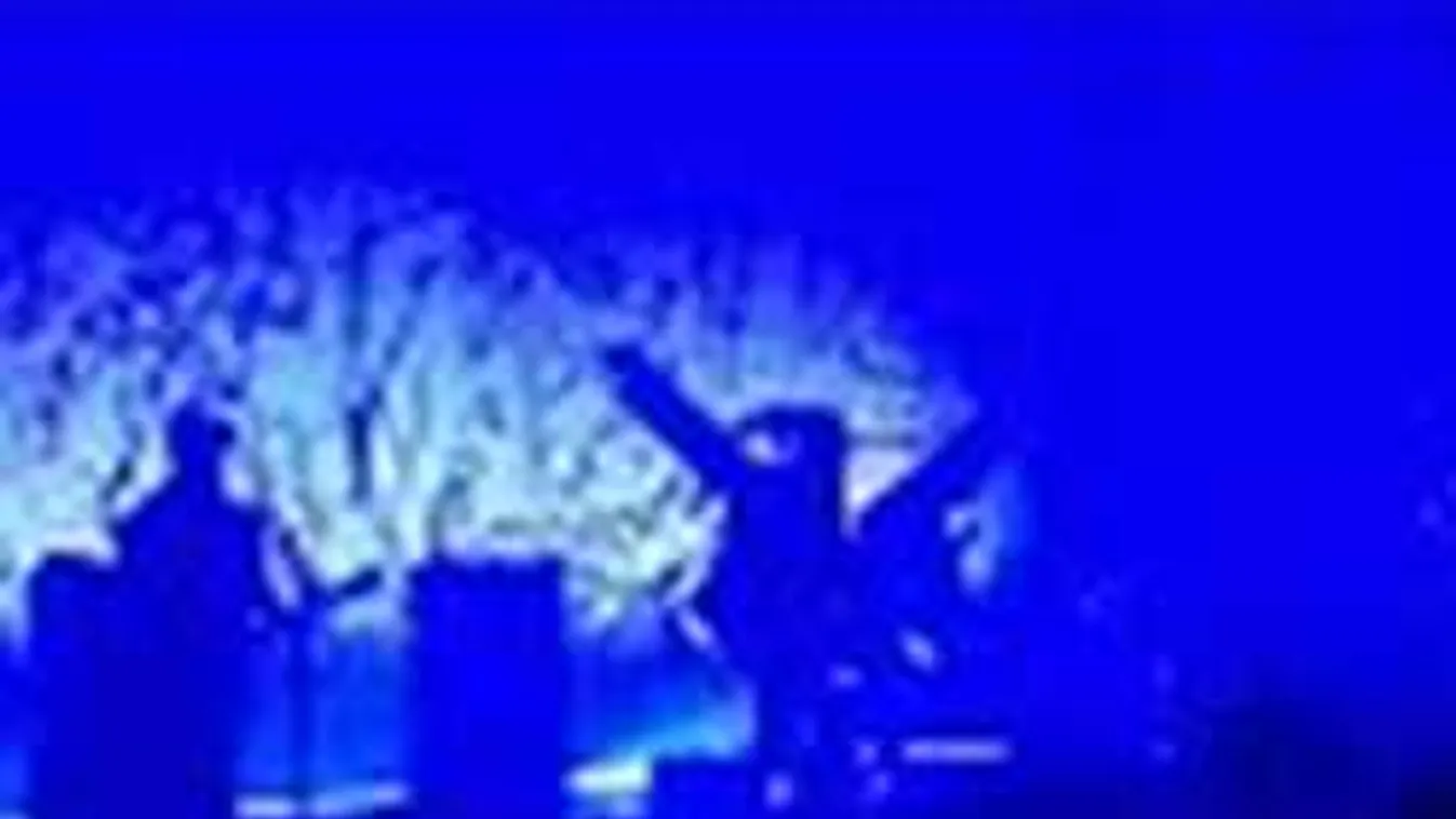 Pisztolytalálat érte Marilyn Mansont