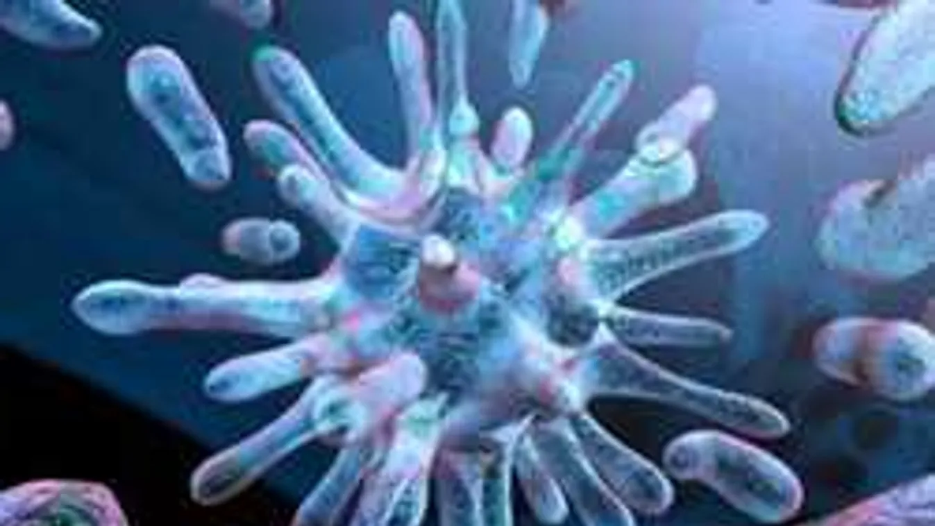 88 embert is megfertőzhetett a TBC-s szomáliai migránslány