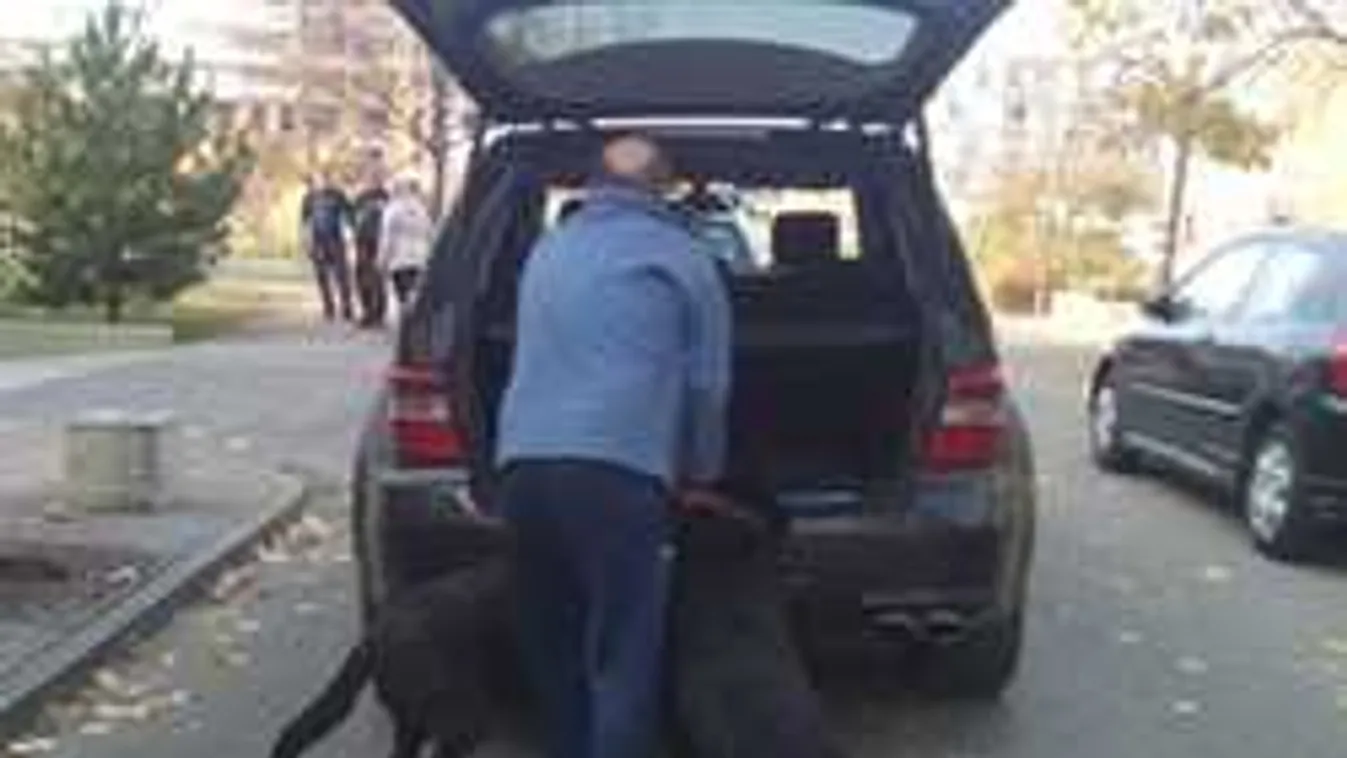 Ölnek a hírhedt kuruzsló kutyái