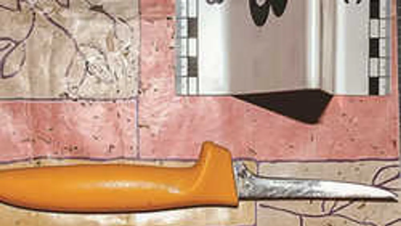 Bíróság előtt az orvos, aki nem vette észre a kisbaba halálos sebeit