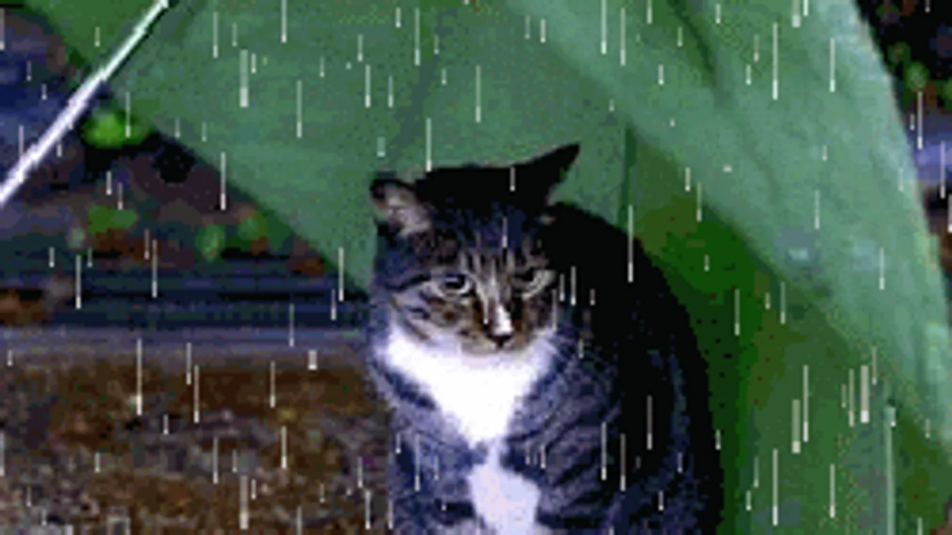 Rendkívüli idő jön: havas esővel csap le a hidegfront