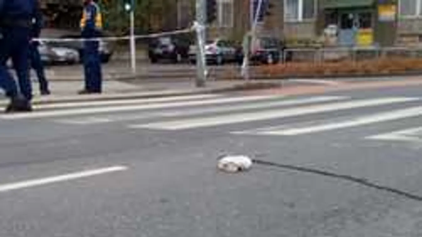 Döbbenetes dolgokat mondott a bankrablót elgázoló sofőr