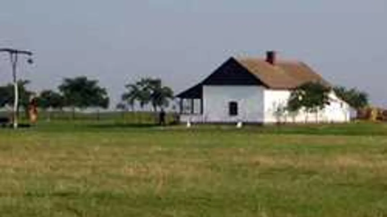 Brutális asszonykínzás a kecskeméti horrortanyán