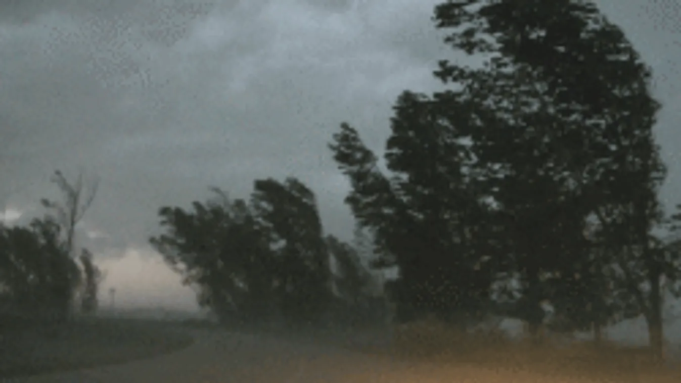 Tragédiával végződött élete álomutazása