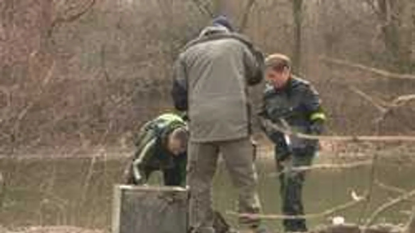 Fejbe lőhették a Dunában talált, hordóba betonozott férfit