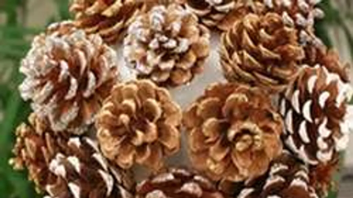 Ingyen adja az erdő a legjobb dekorációkat!