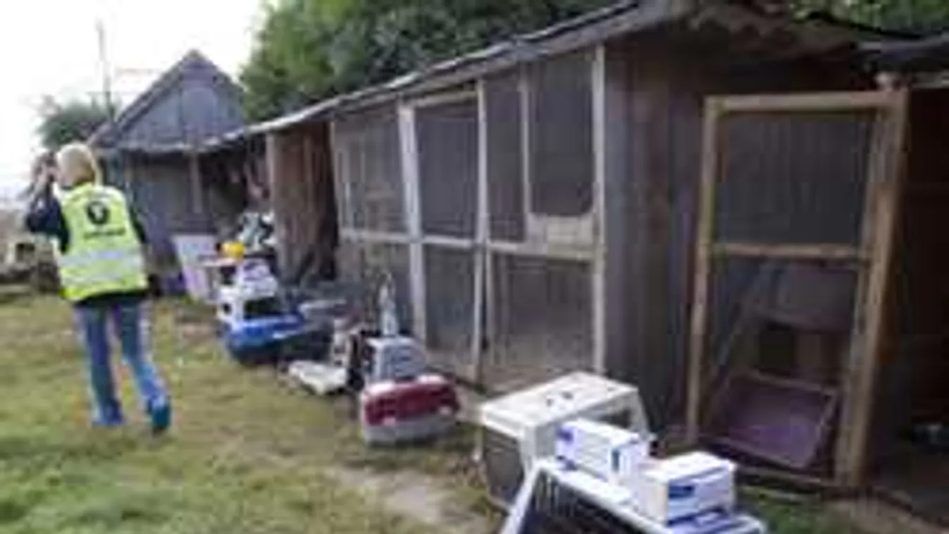 Kiderült az igazság: ezért költözött hazánkba a söjtöri állatkínzó