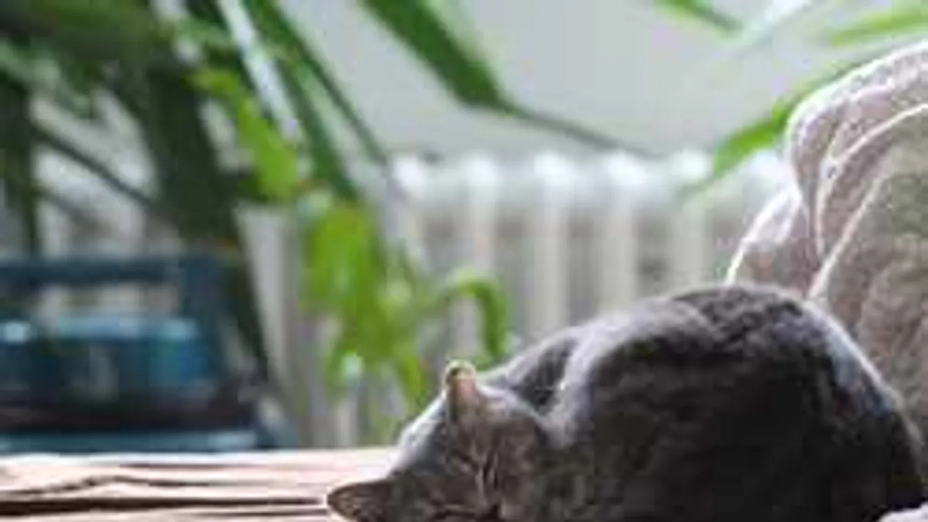 Erre nem számítottunk: váratlan fordulatot hoz a hétvégi időjárás