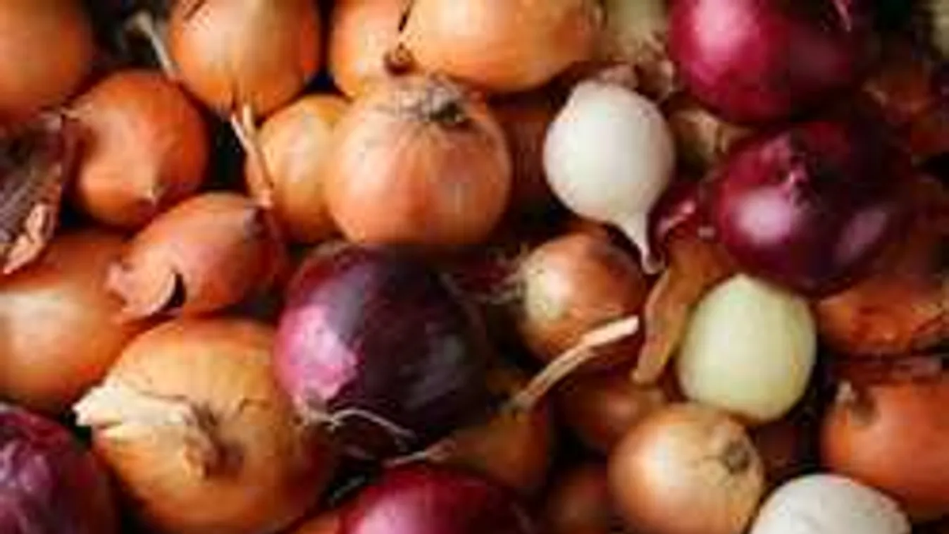 Kiderült, melyik a legegészségesebb hagyma. Használd inkább ezt!