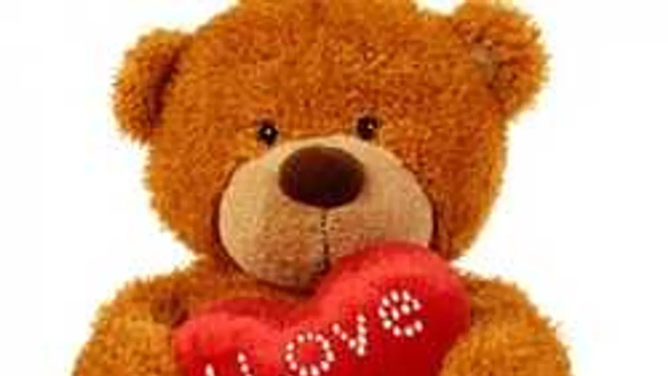 Plüssmackóba rejtett kamerával vettek fel több száz légyottot Szegeden