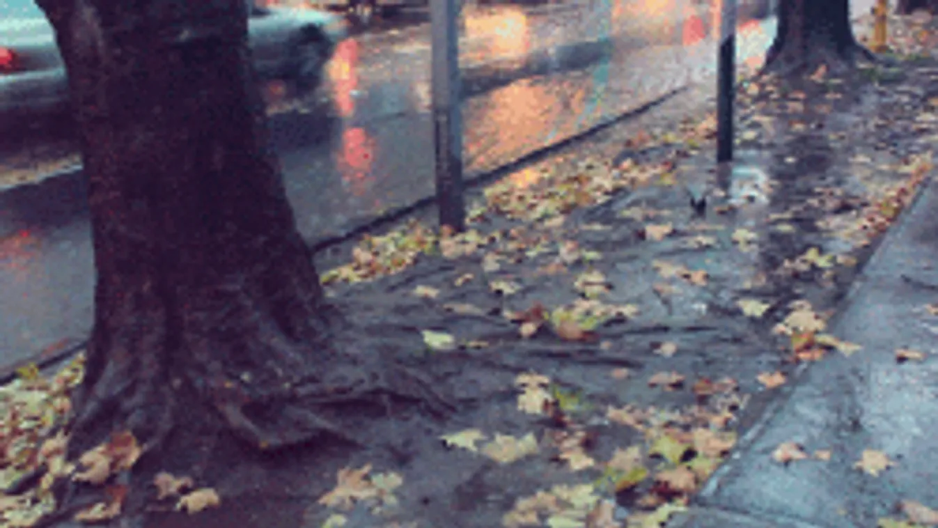 Kiadták a vészjelzést: nagy esővel jön a rendkívüli idő