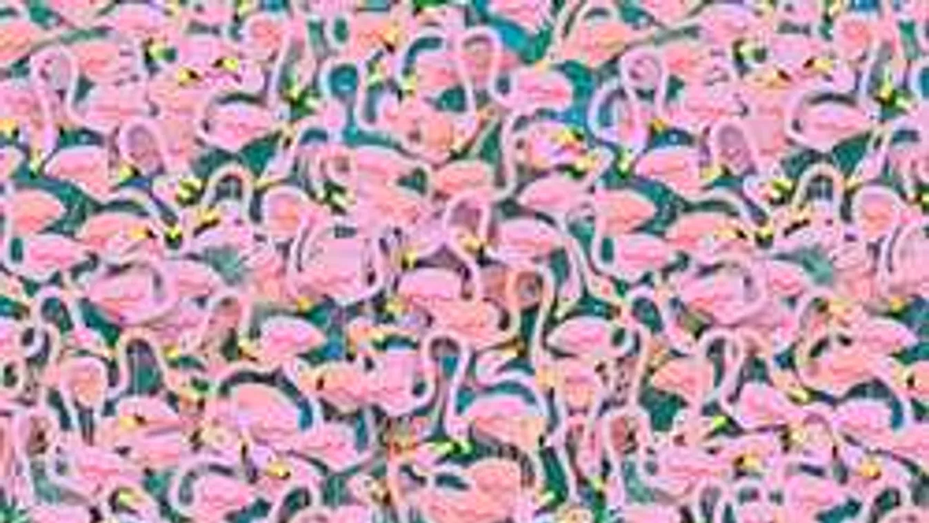 Megtalálod a képen a balerinát? Ezen a feladványon pörög a fél net!