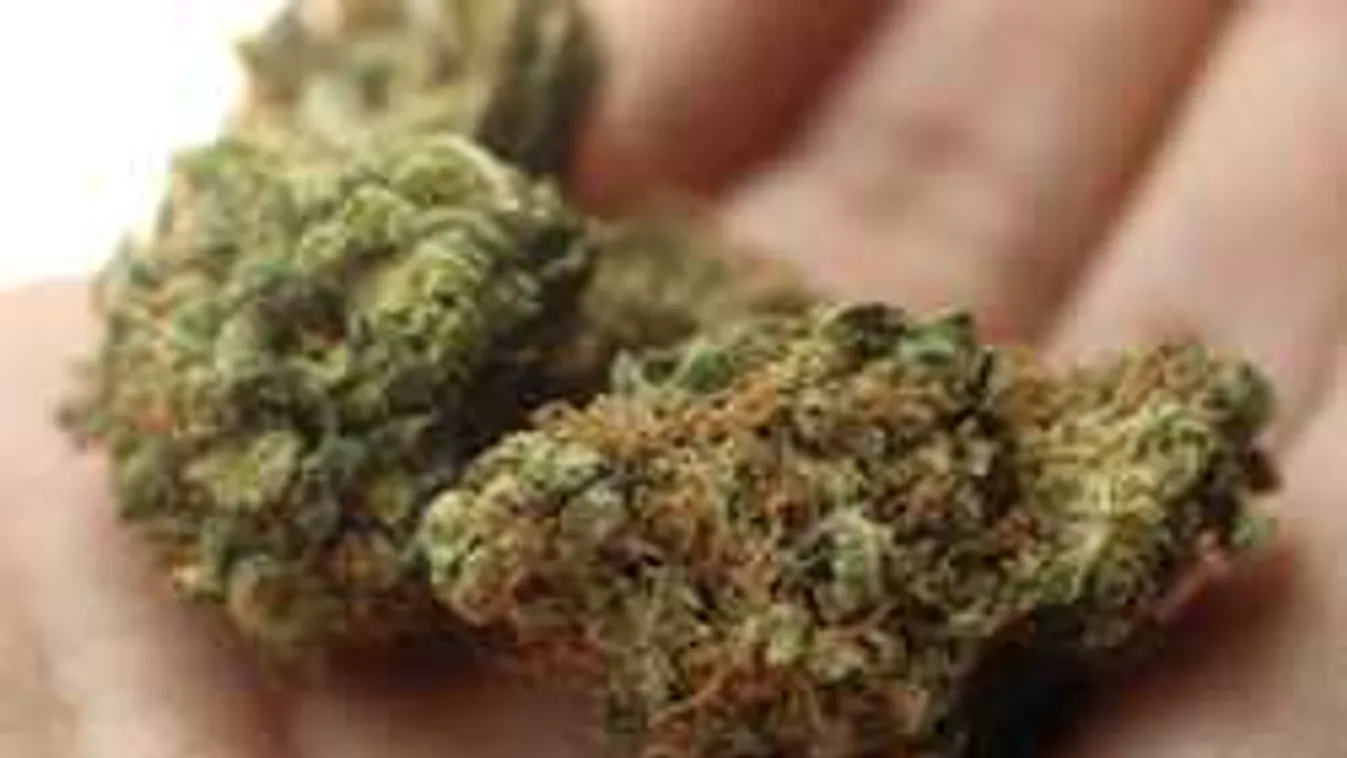 Ez várt a férfira, aki 20 kiló marihuánát akart becsempészni