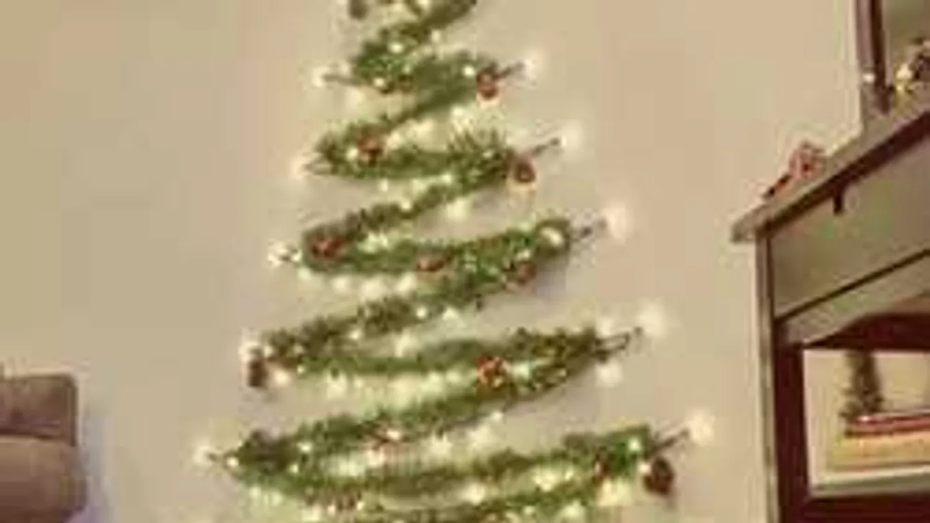 Van egy felesleges fenyőfád? Itt nagy szükség lehet rá