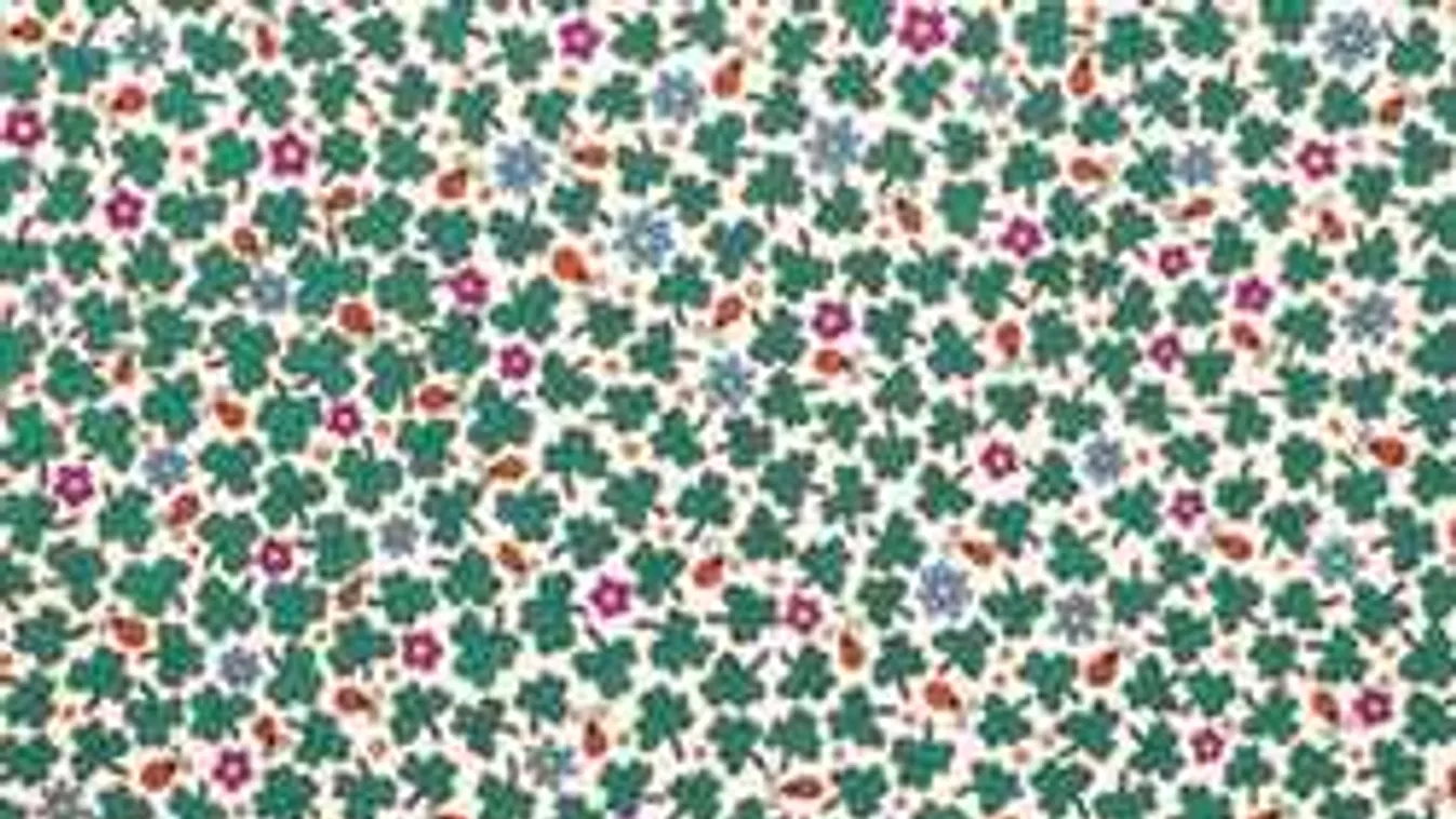 Ha ezt a rejtvényt megfejted, kivételes vagy! Az emberek 92%-a elbukik