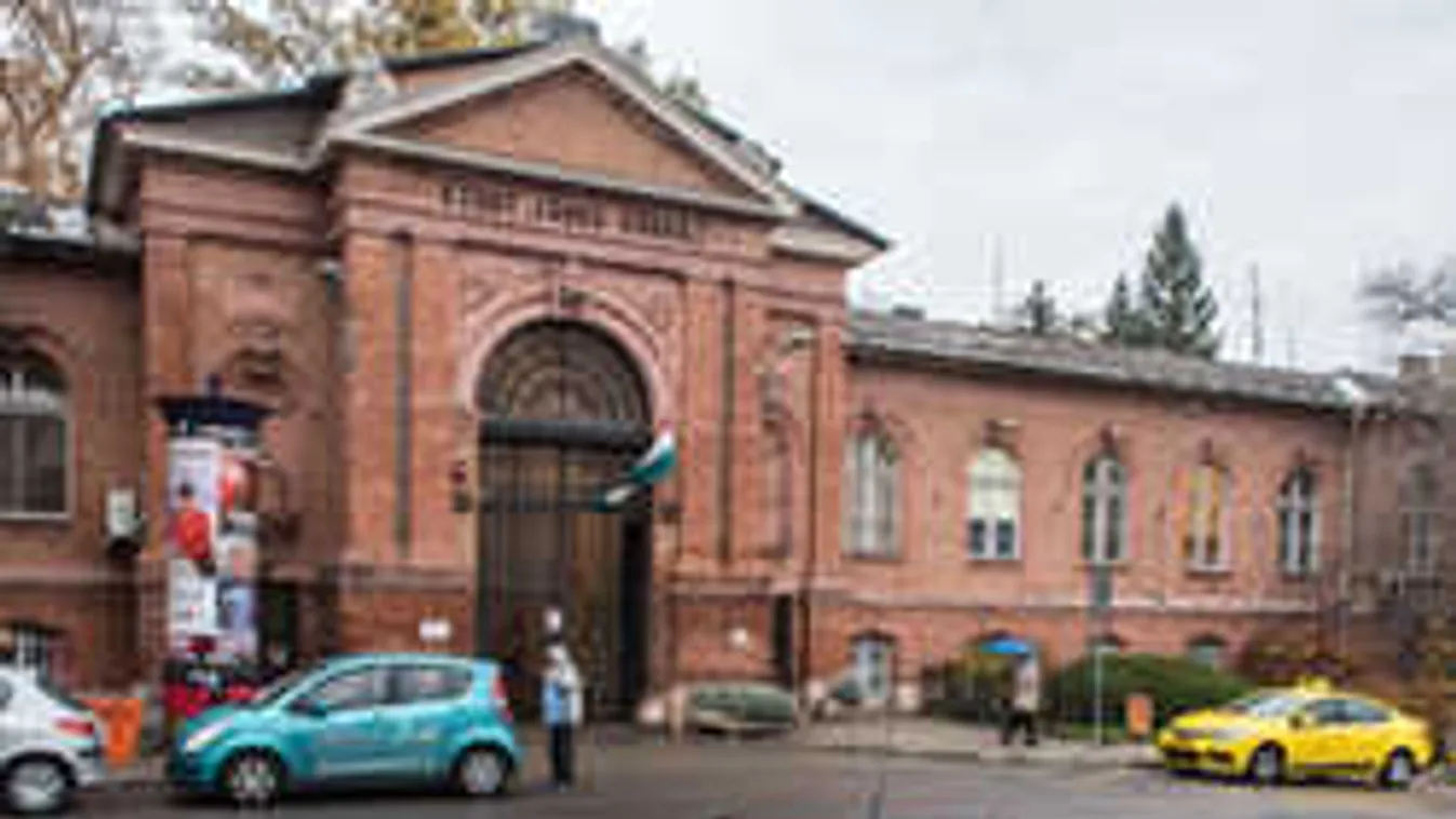 Hihetetlenül nagy ráfizetés ez a kórházi betegeknek és látogatóknak