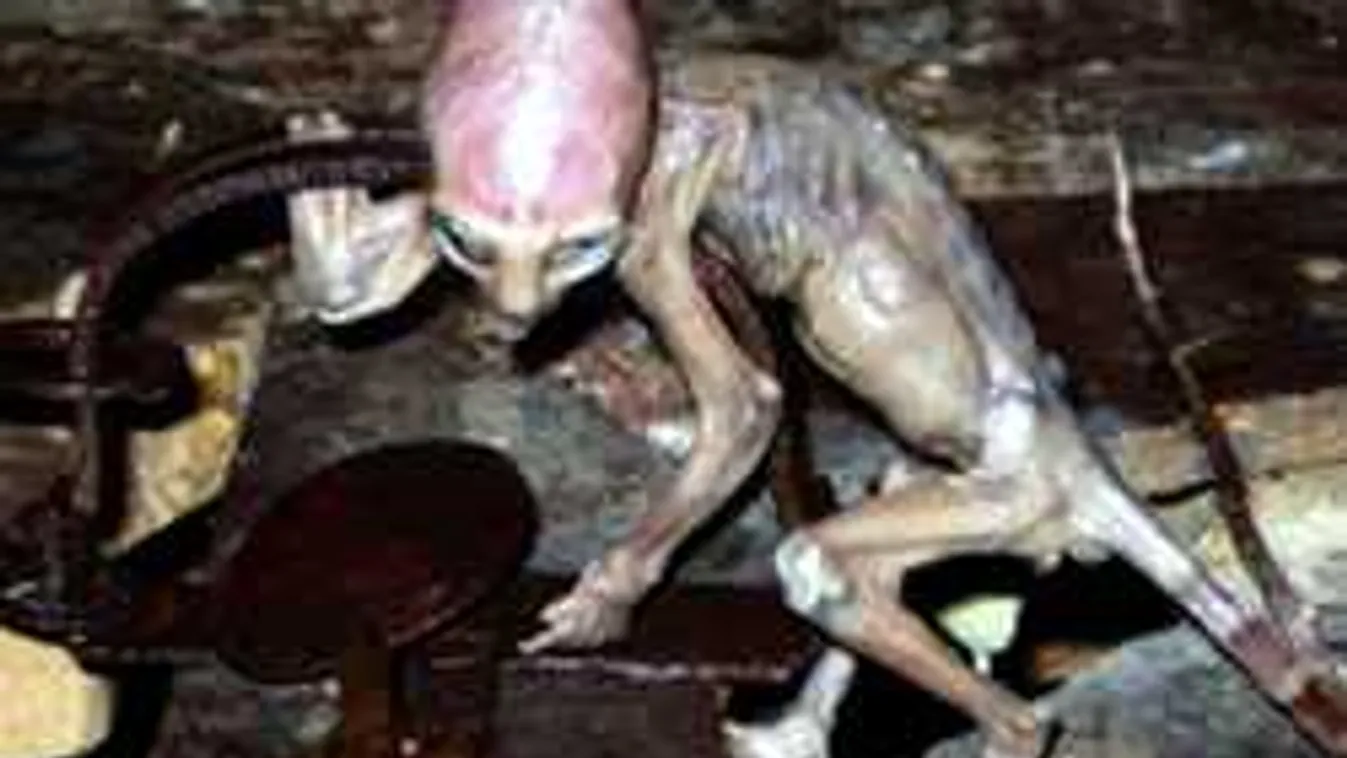 Sokkot kapott a gazda: órákon keresztül fojtogatott egy földönkívülit