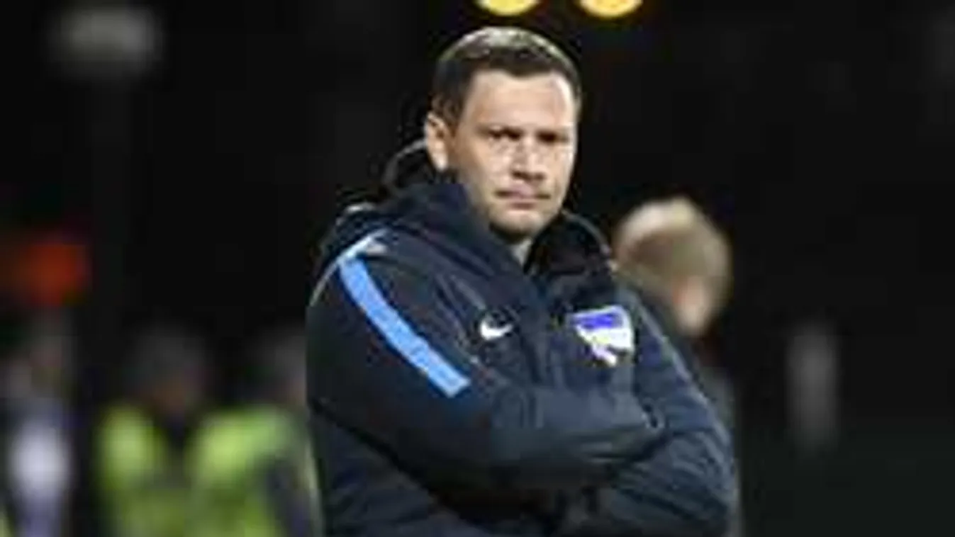 Dárdai alól kihúzták a csapatát