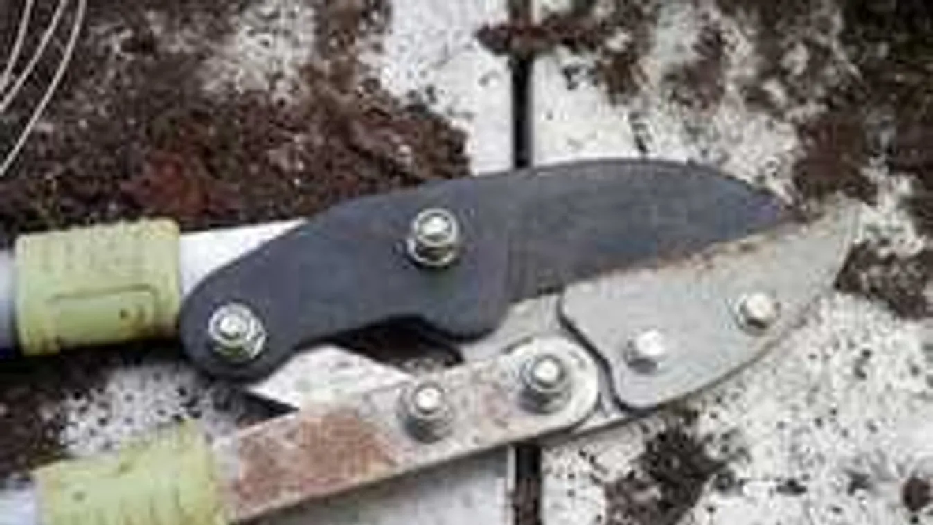 Vér mindenütt: metszőollóval vágta le alvó szeretője férfiasságát