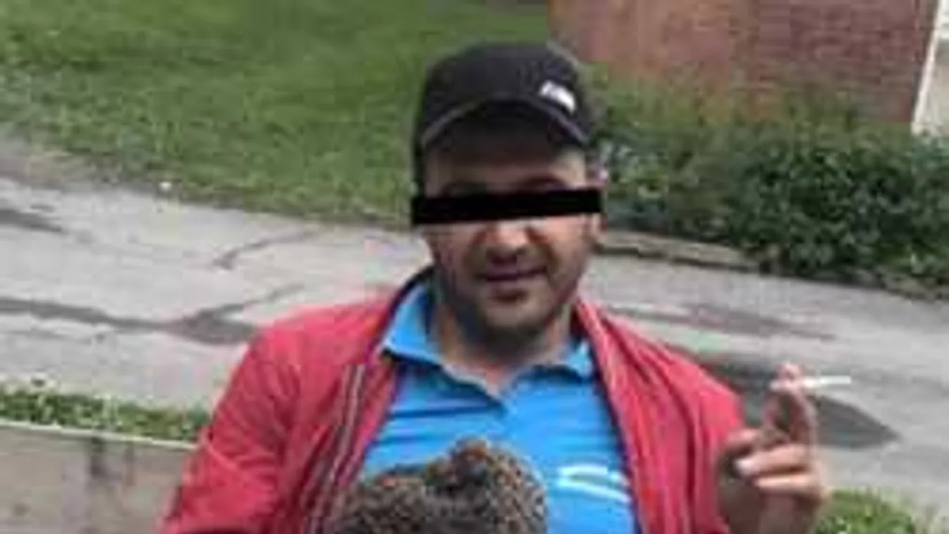 Frissen műtött nő lett a migránserőszak áldozata