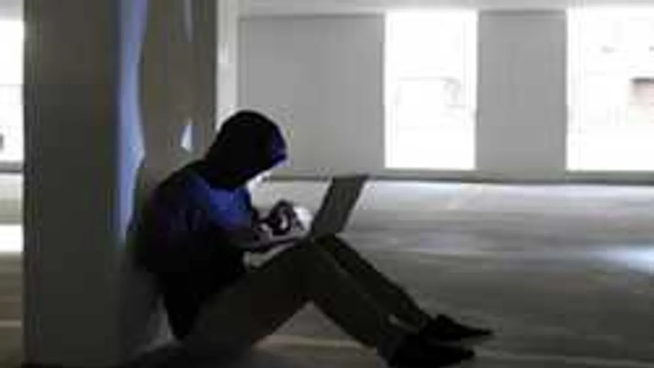 10 év börtönre ítélték internetes nemi erőszakért!