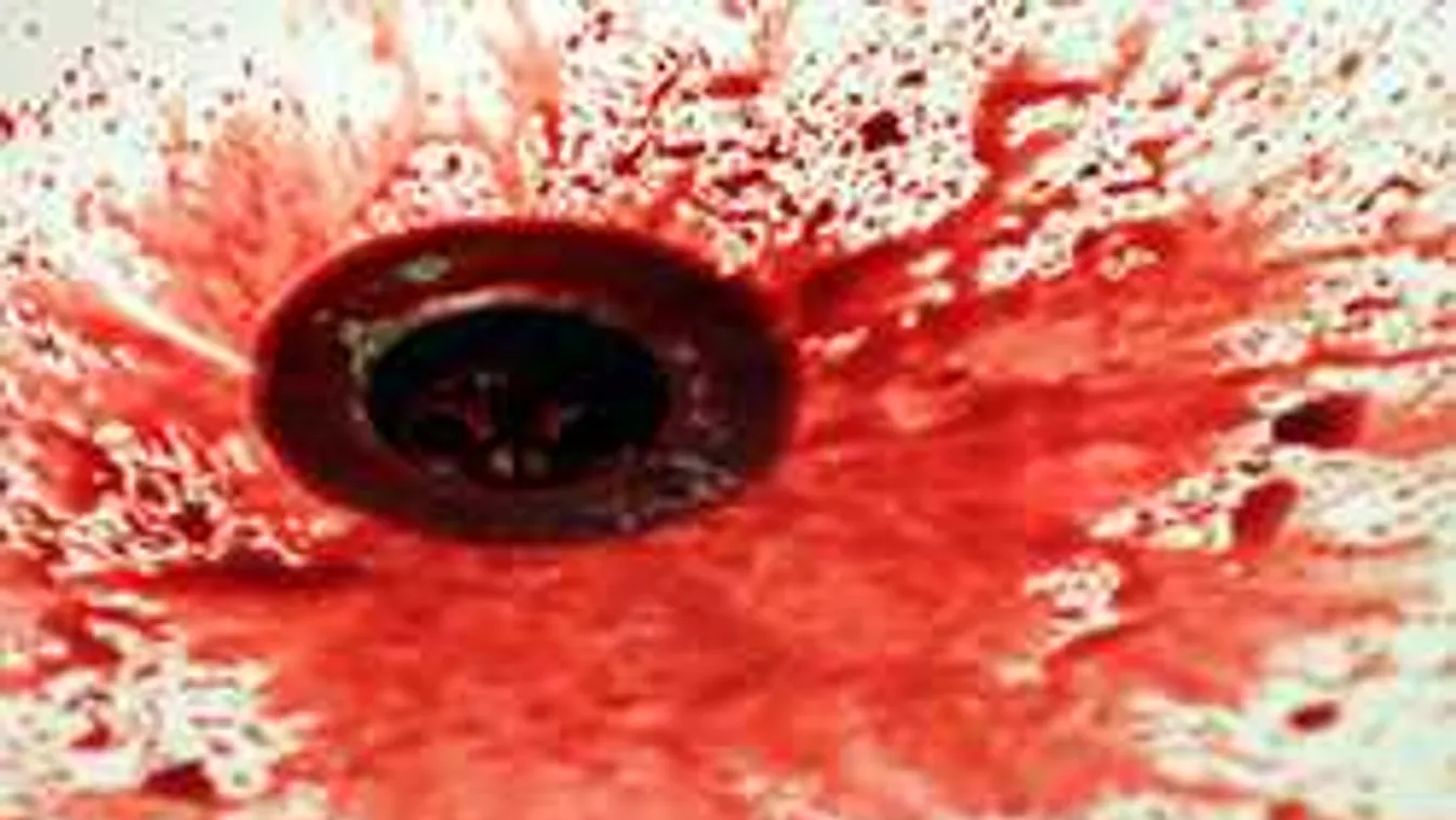 Gyerekei szeme láttára fejezte le az anyát, elrejtette a fejét